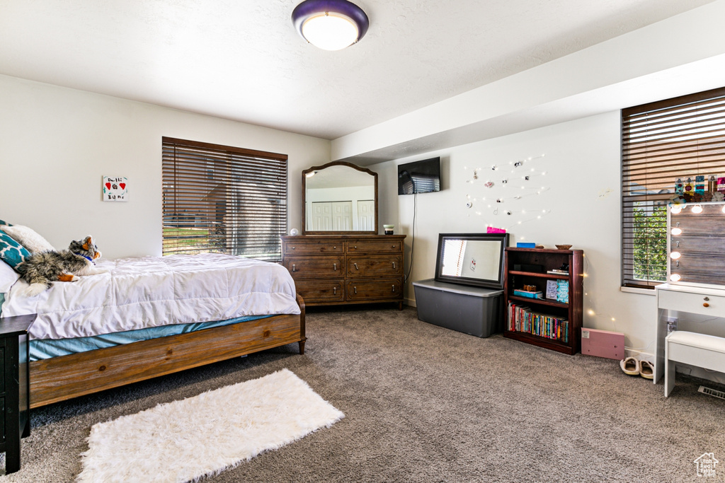 Carpeted bedroom featuring multiple windows