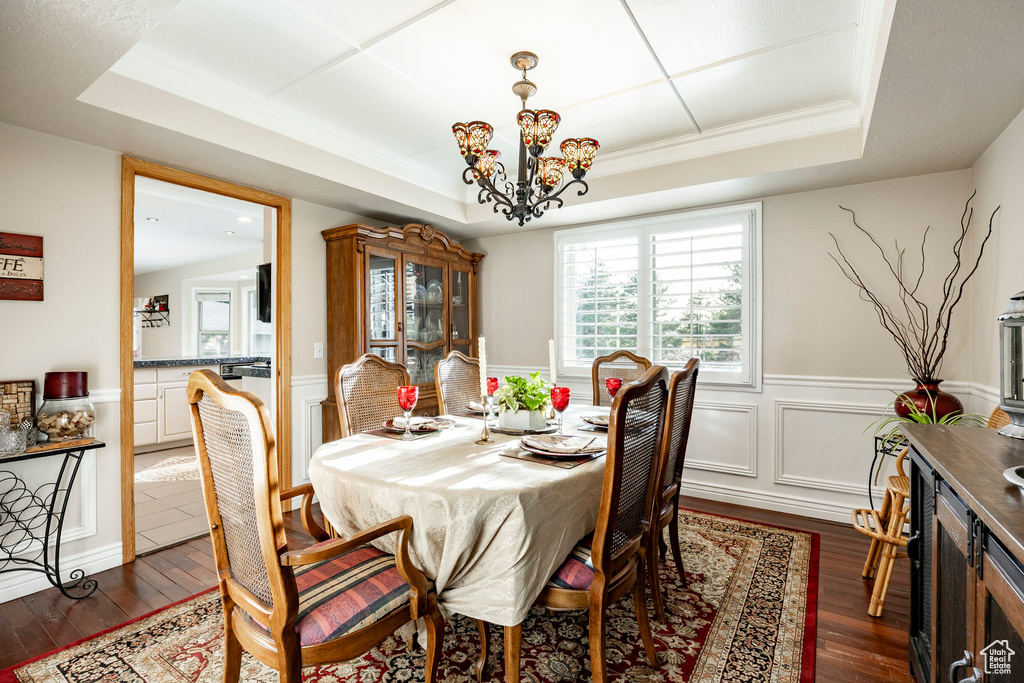 Dining room featuring a wainscoted wall, dark wood-type flooring, and a raised ceiling