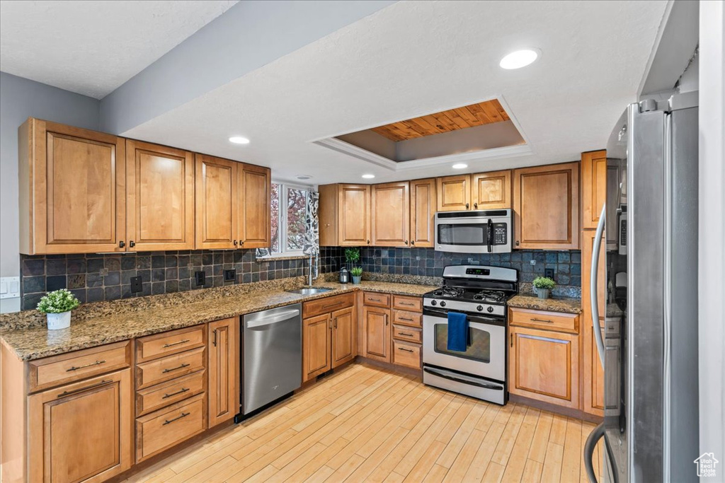 Kitchen with light wood finished floors, stainless steel appliances, a tray ceiling, a sink, and light stone countertops