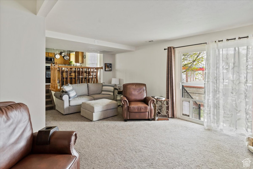 Living area with carpet flooring