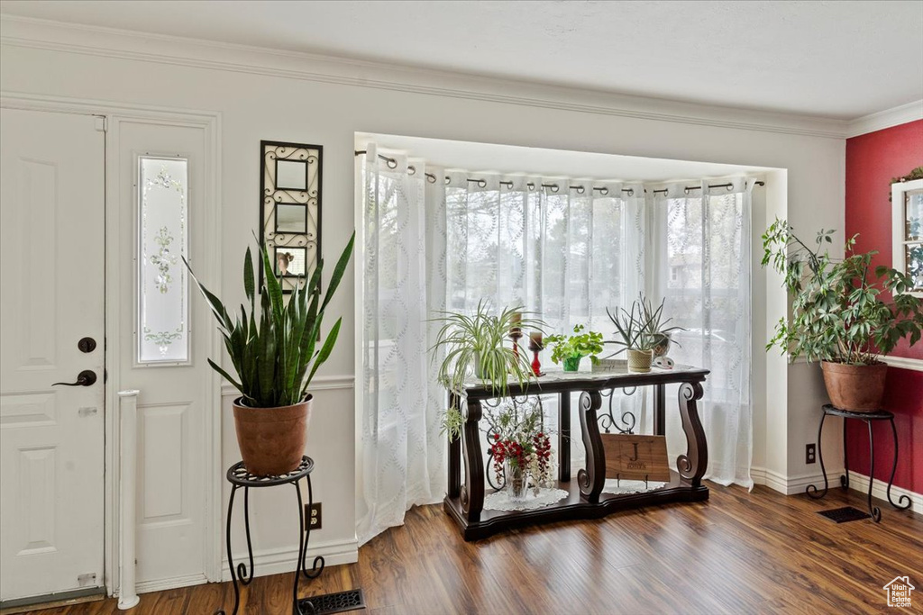 Foyer featuring wood finished floors, visible vents, baseboards, and ornamental molding