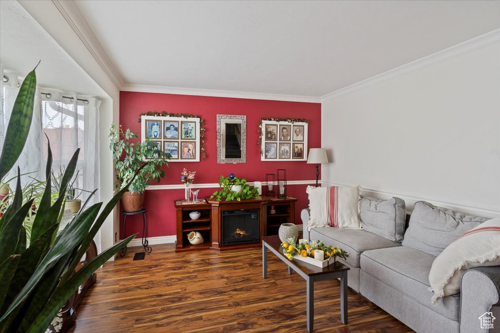 Living area featuring wood finished floors, baseboards, and ornamental molding
