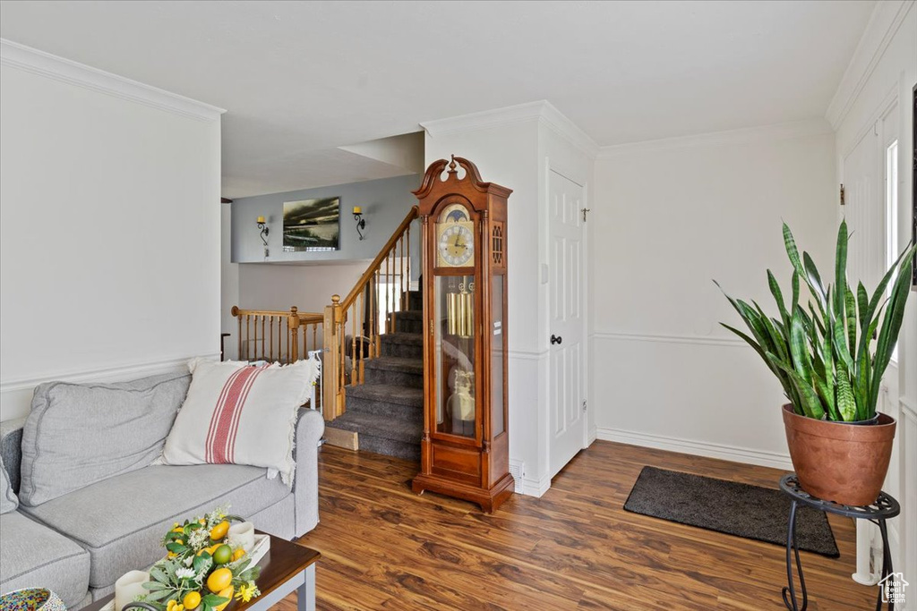 Living area featuring stairs, ornamental molding, wood finished floors, and baseboards