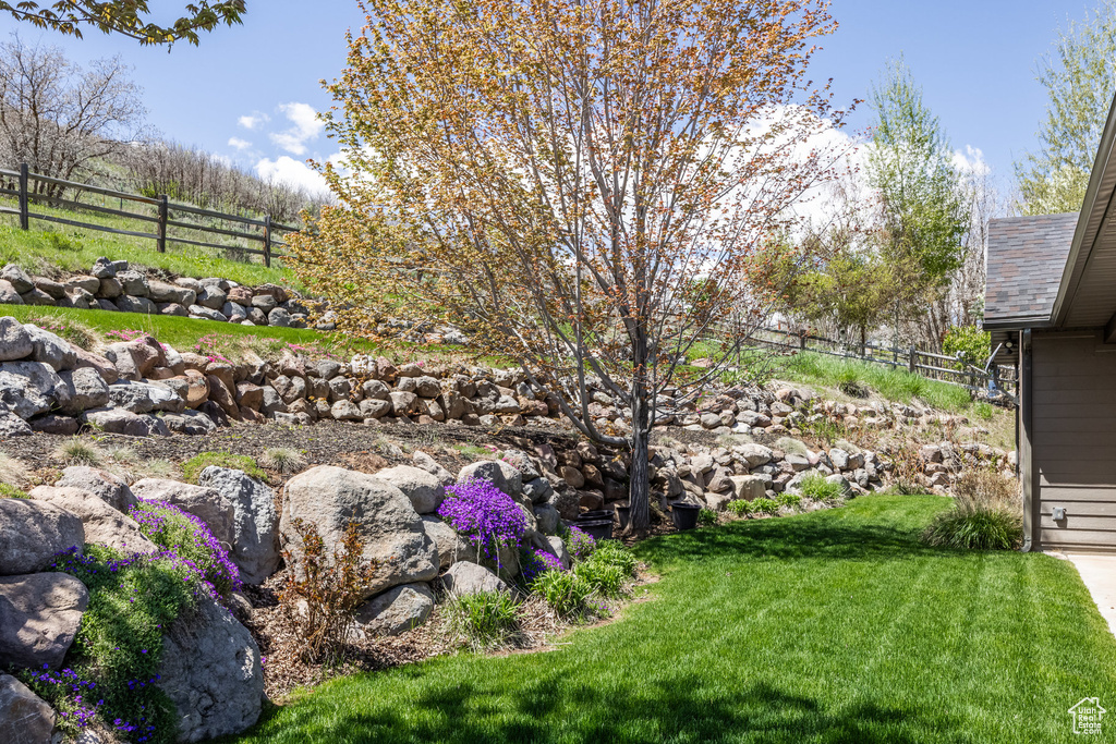 View of yard