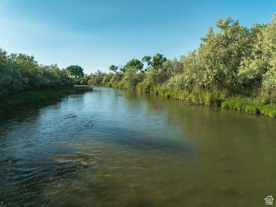 Water view with a heavily wooded area