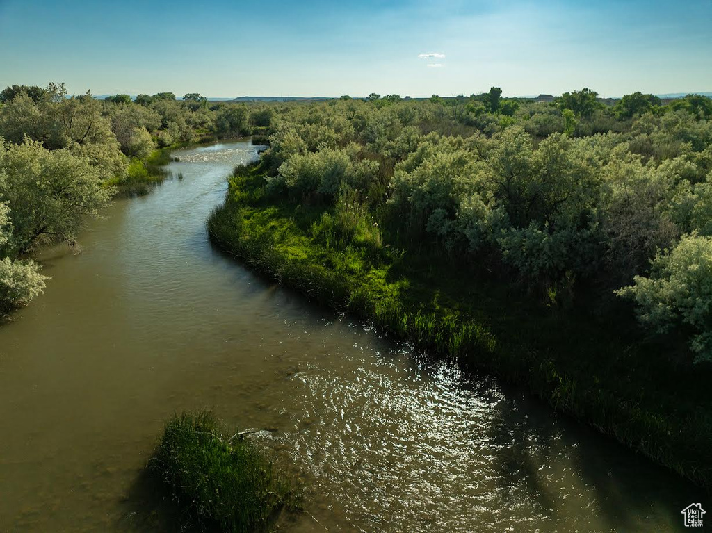 Water view featuring a forest