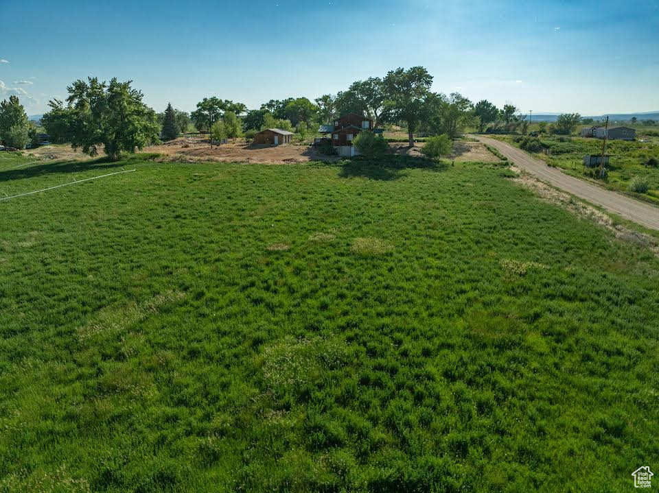View of green lawn with a view of rural / pastoral area