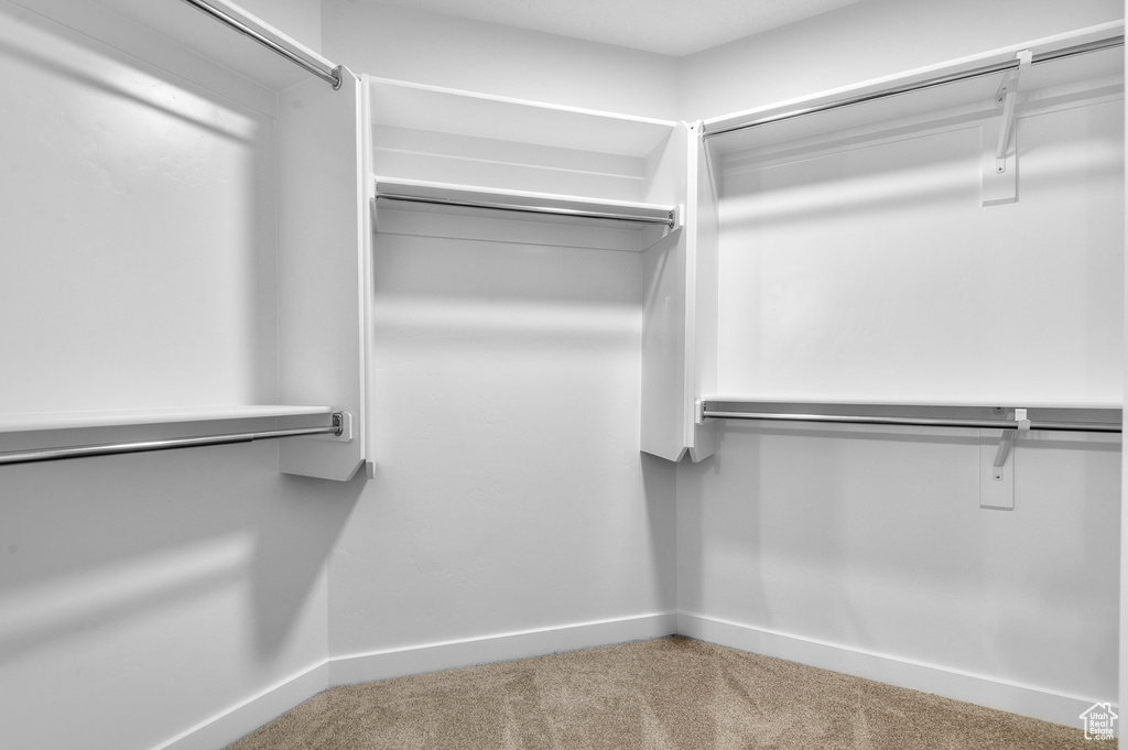 Spacious closet featuring carpet flooring