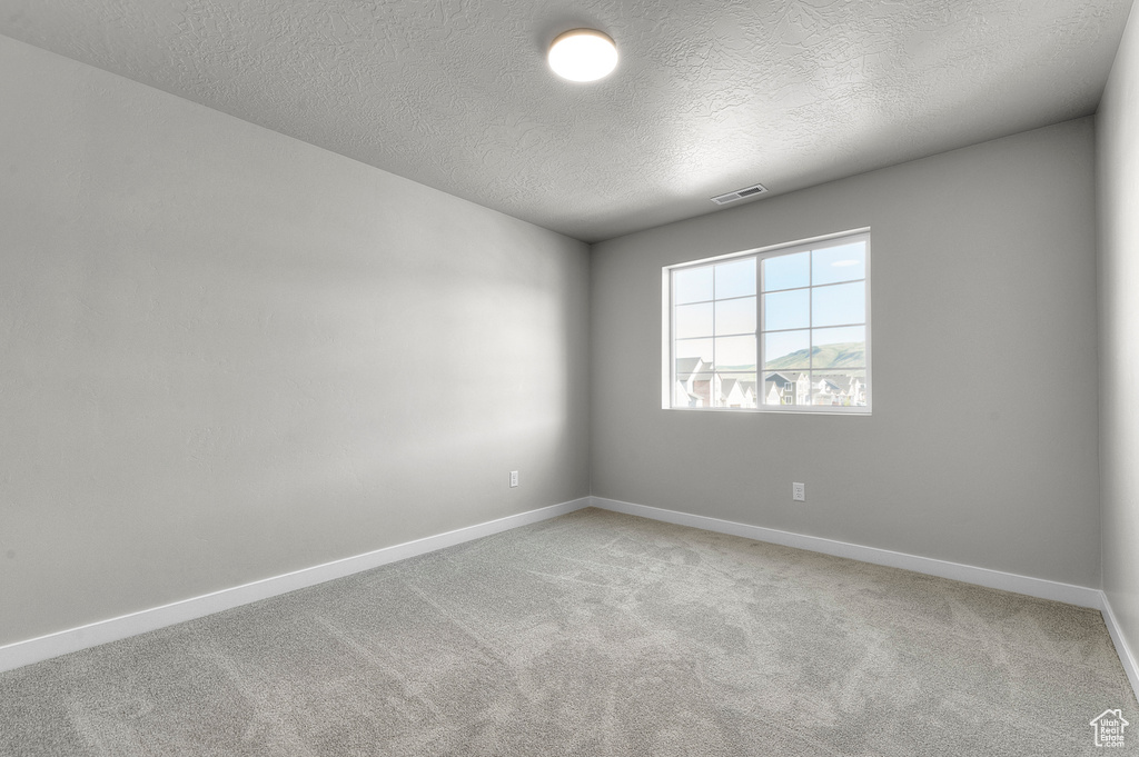 Empty room with light carpet, baseboards, and a textured ceiling