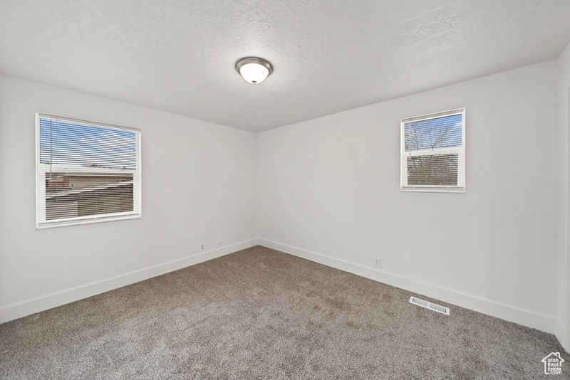 Carpeted spare room featuring a wealth of natural light, visible vents, and baseboards