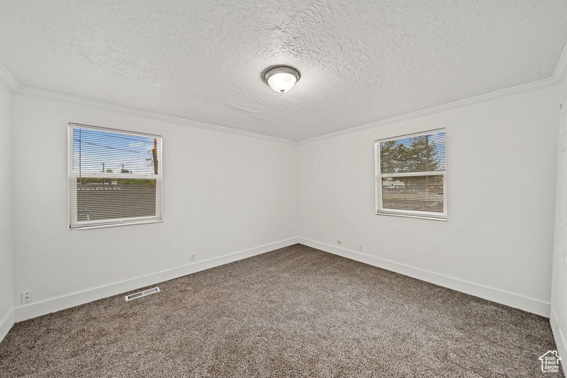 Carpeted empty room with visible vents, a textured ceiling, ornamental molding, and a healthy amount of sunlight