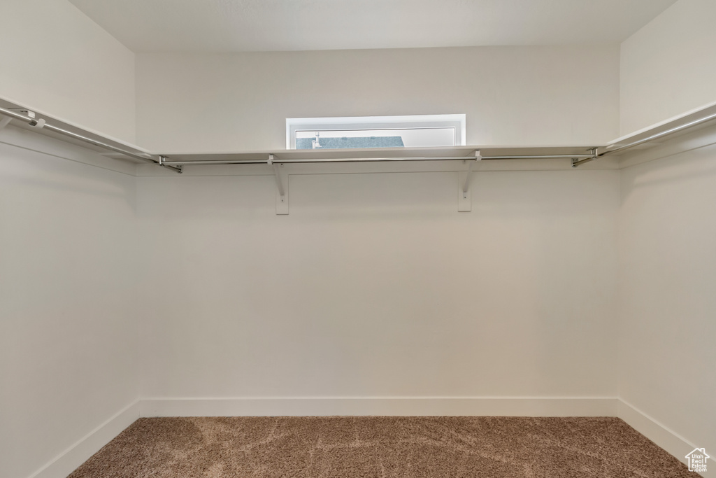 Walk in closet featuring carpet