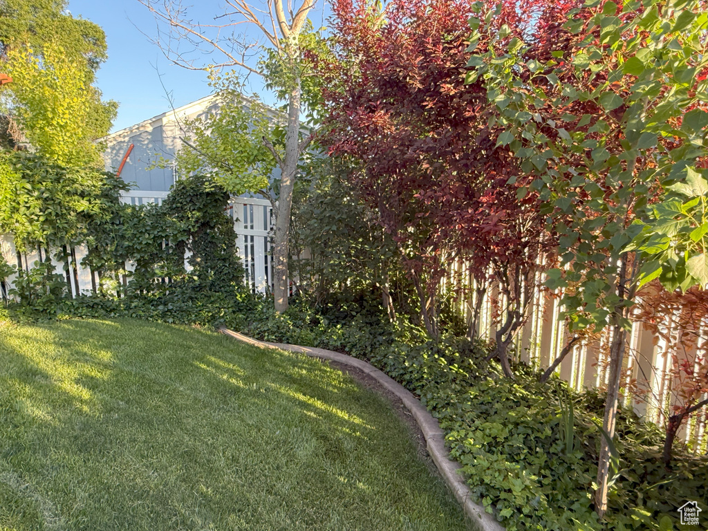 View of grassy yard