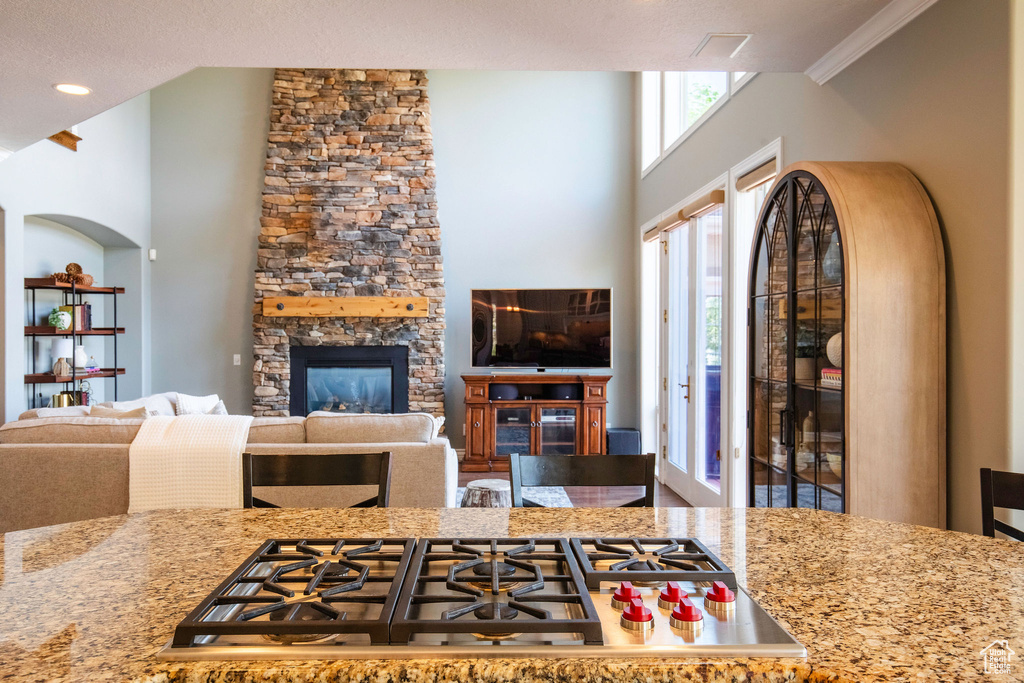 Living area featuring a fireplace, crown molding, and recessed lighting