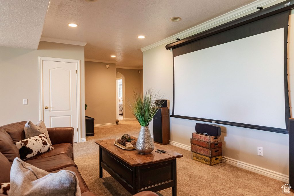 Cinema room with crown molding, light colored carpet, recessed lighting, arched walkways, and a textured ceiling