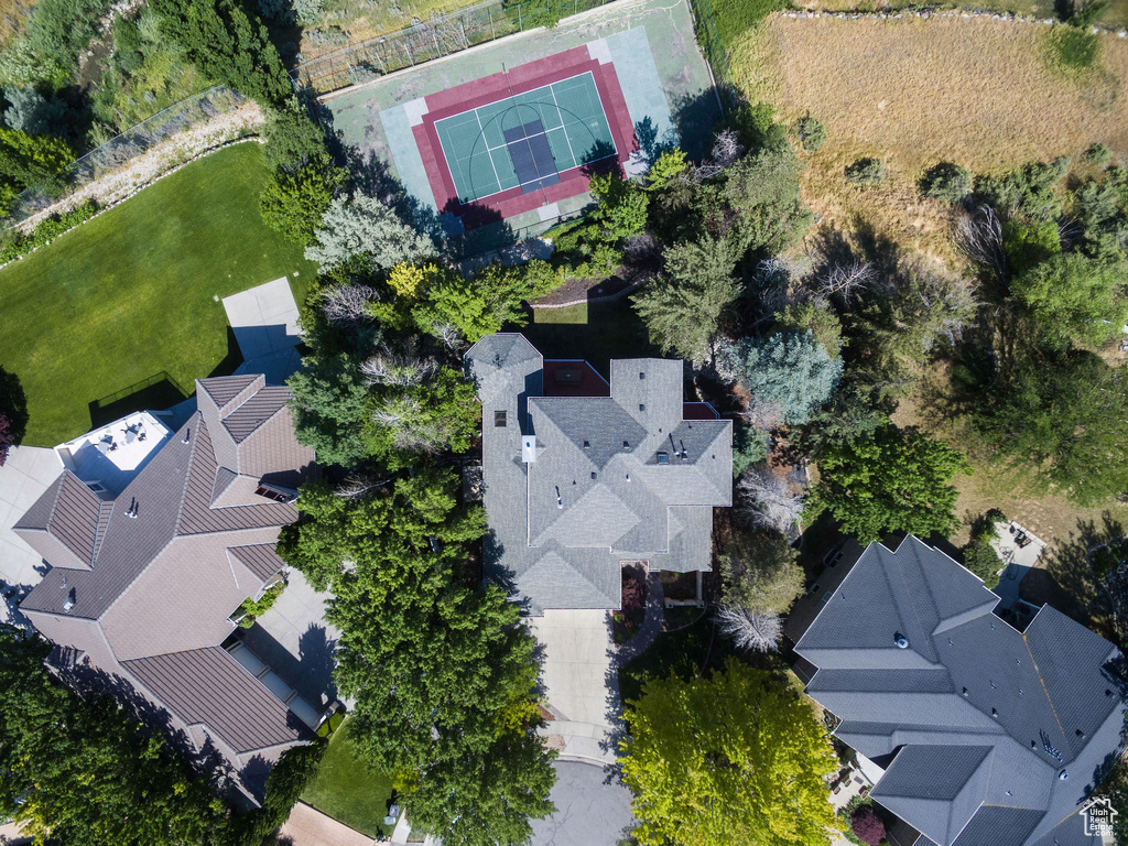 Bird\'s eye view