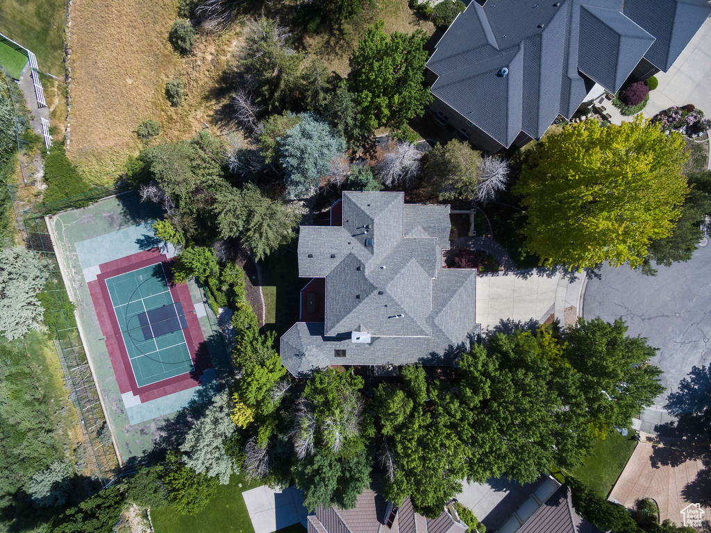 Bird\'s eye view