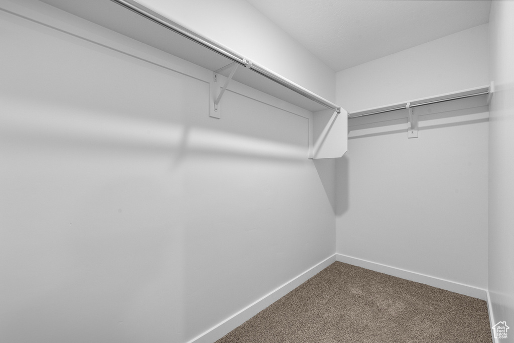Walk in closet with carpet floors