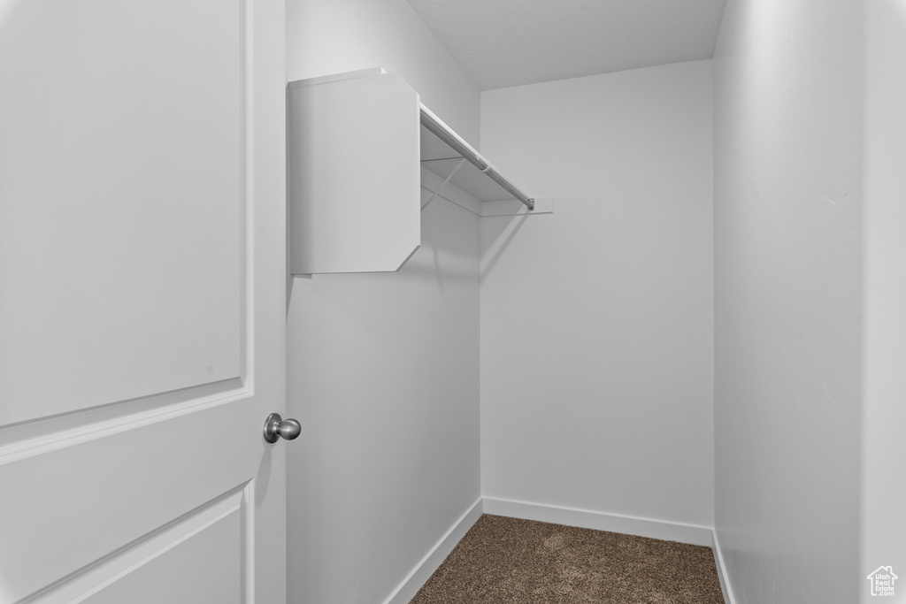 Spacious closet with dark carpet