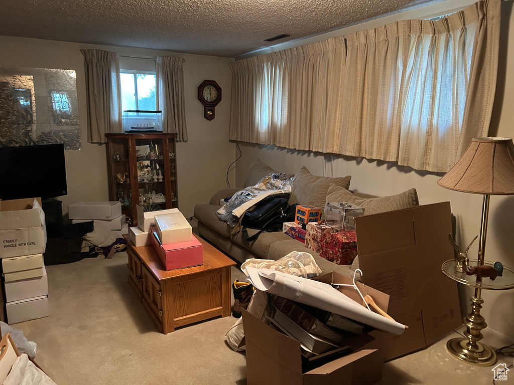 Sitting room with a textured ceiling, visible vents, and light colored carpet