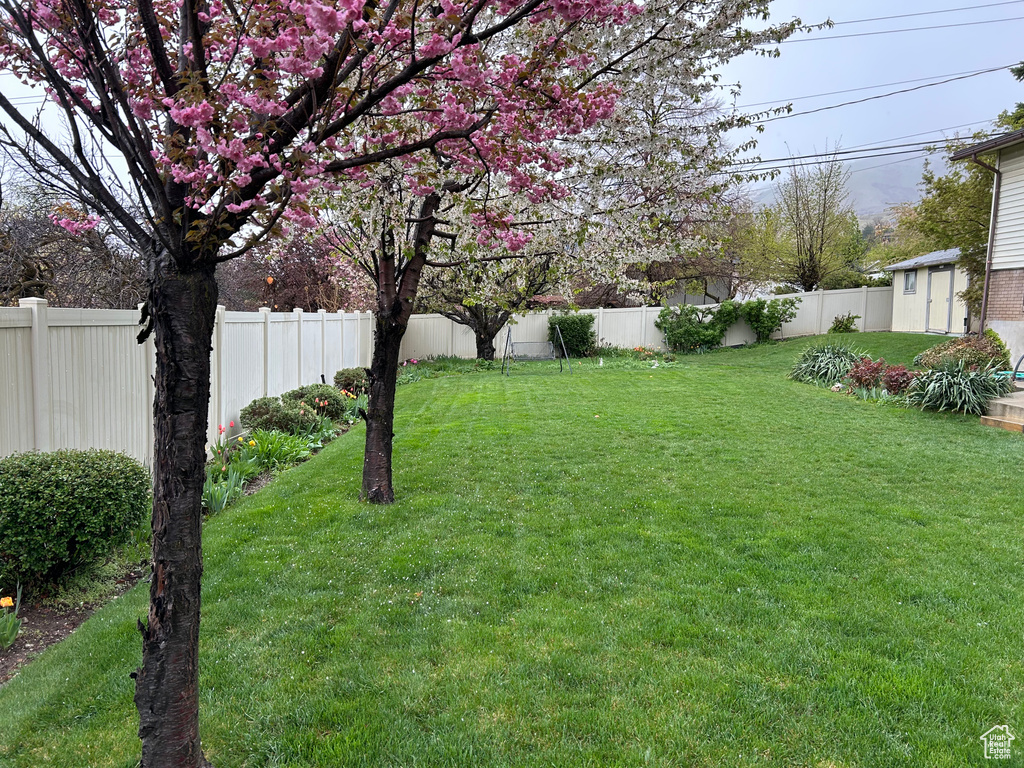 View of yard featuring a fenced backyard