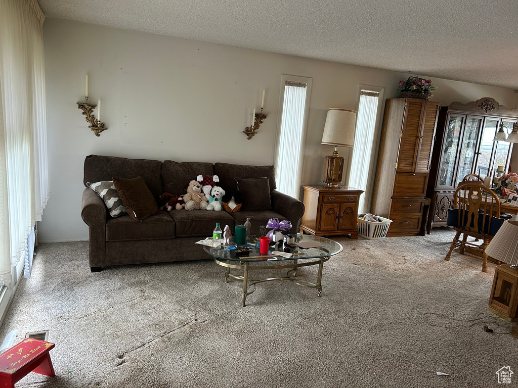 Carpeted living room with a textured ceiling