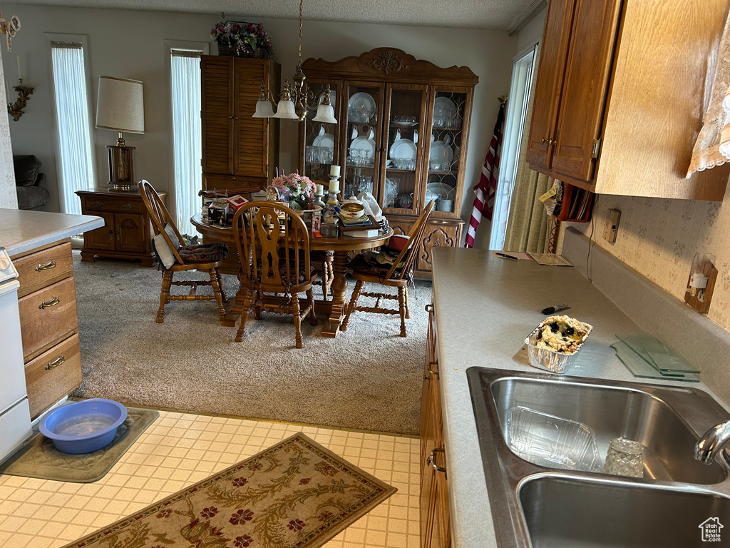 Dining space with light carpet