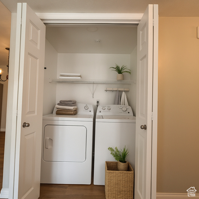 Laundry room featuring washer and dryer and dark wood-style floors