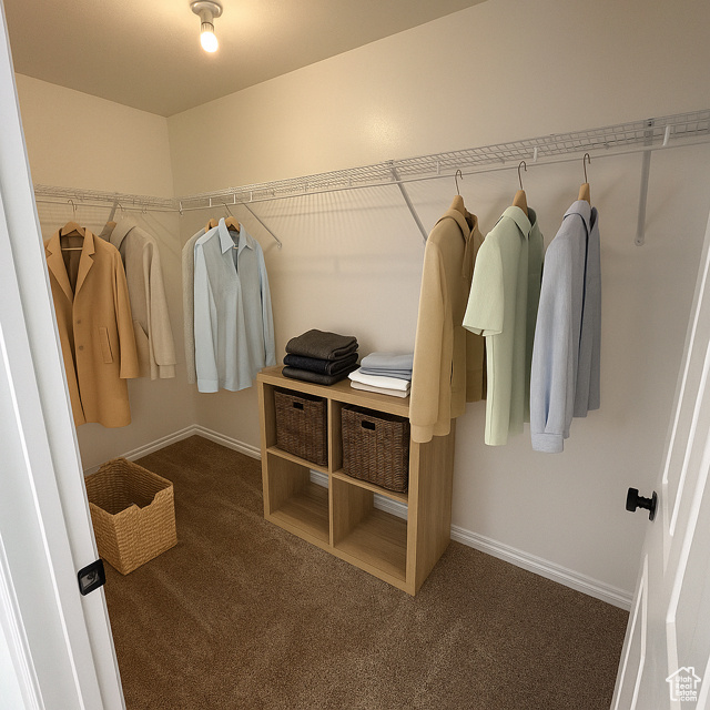 Spacious closet with carpet floors