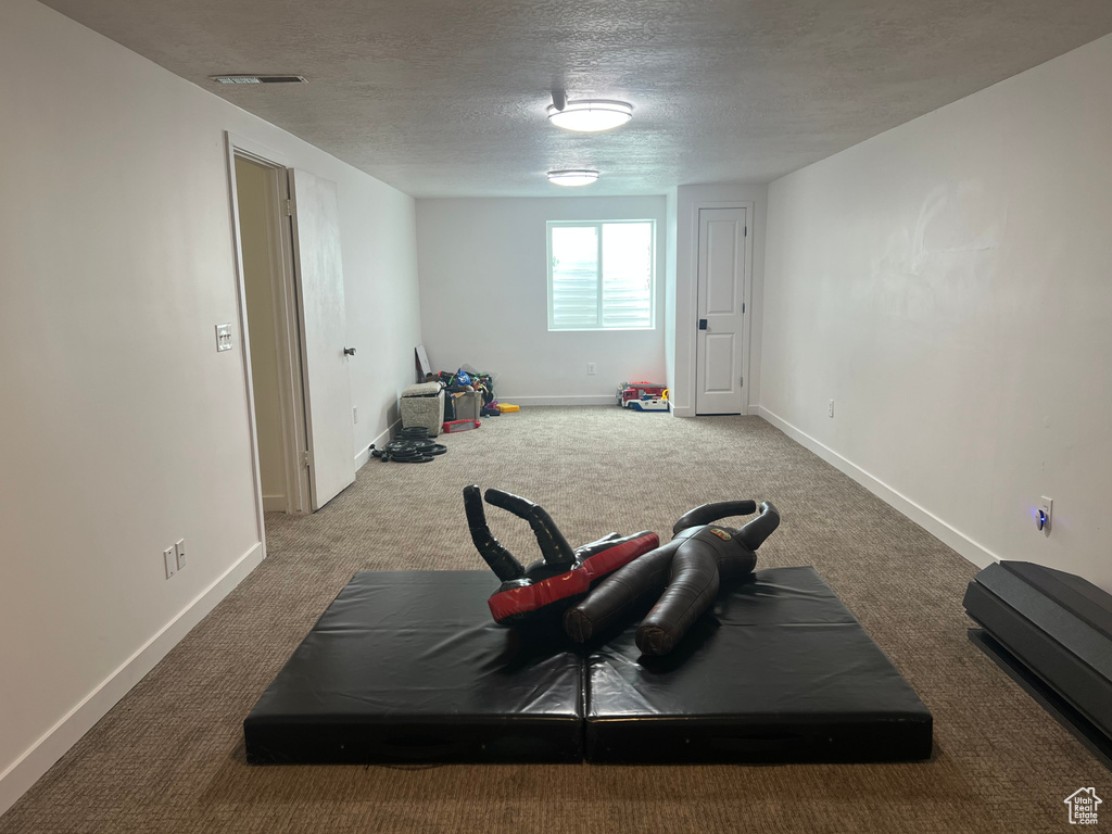 Workout room featuring a textured ceiling, carpet, baseboards, and visible vents