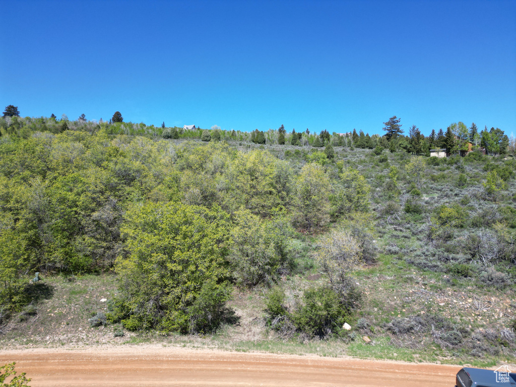View of undeveloped land