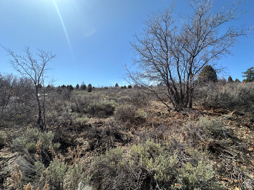 View of landscape