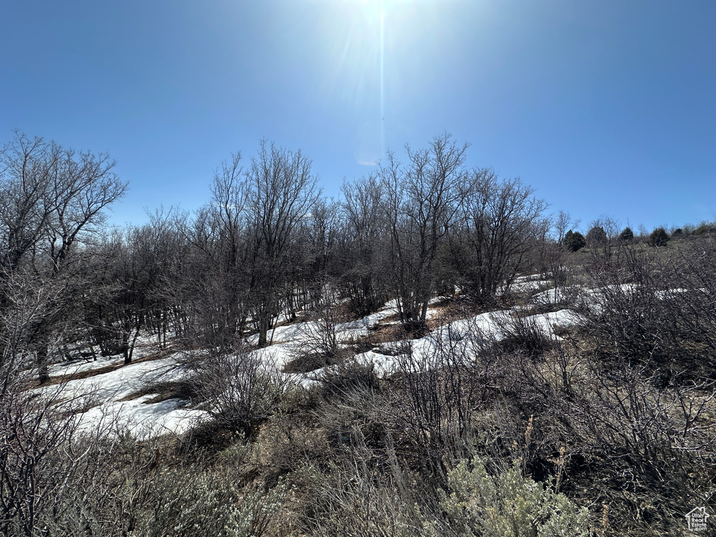 View of snow covered land