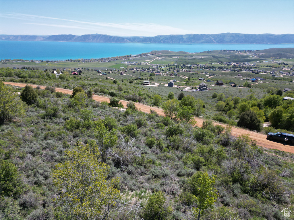 Aerial view of a water and mountain view