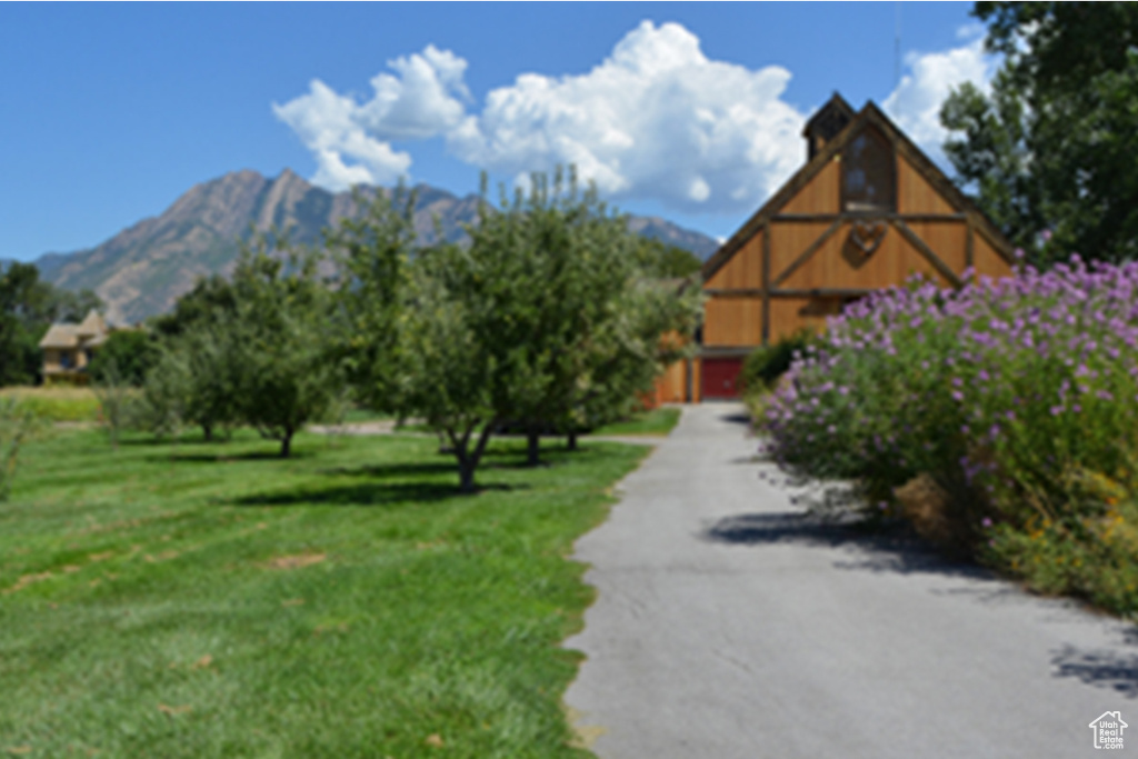 Surrounding community featuring a yard, a mountain view, asphalt driveway, and a barn