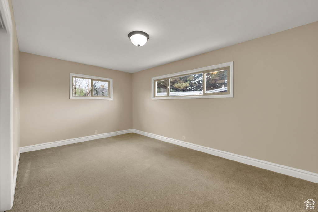Spare room featuring plenty of natural light, baseboards, and carpet
