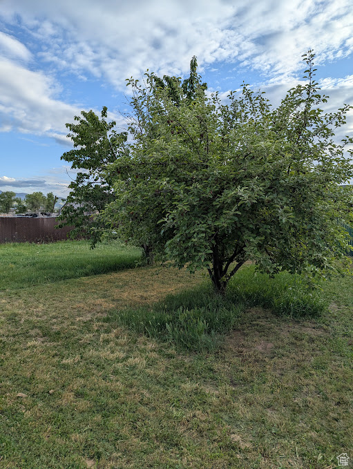 View of nature