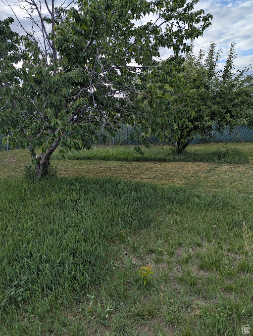 View of undeveloped land