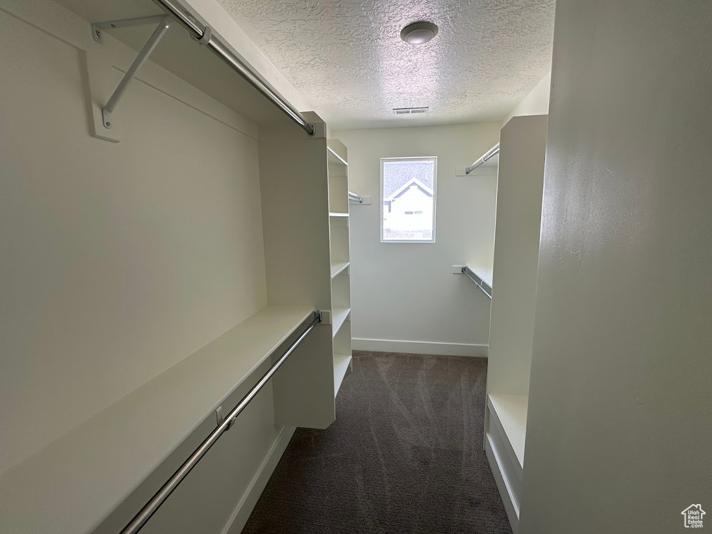 Spacious closet with dark colored carpet and visible vents