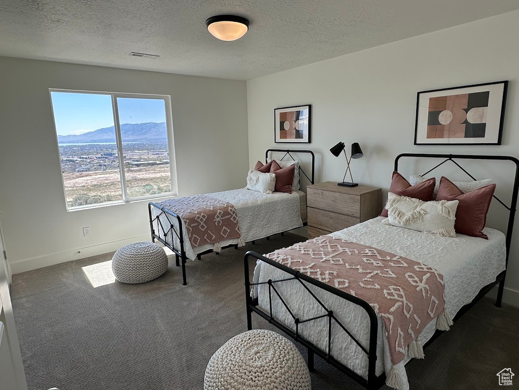 Carpeted bedroom featuring visible vents, baseboards, a textured ceiling, and a mountain view