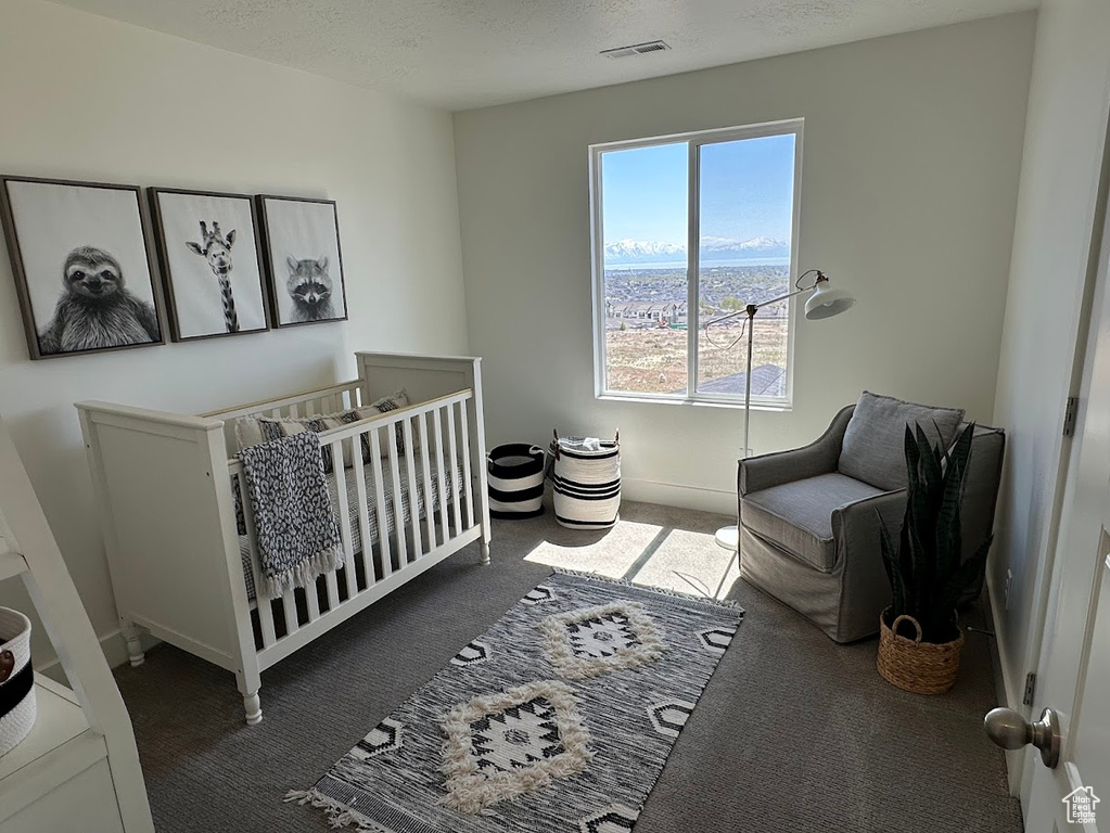 Carpeted bedroom with a nursery area, a textured ceiling, and visible vents