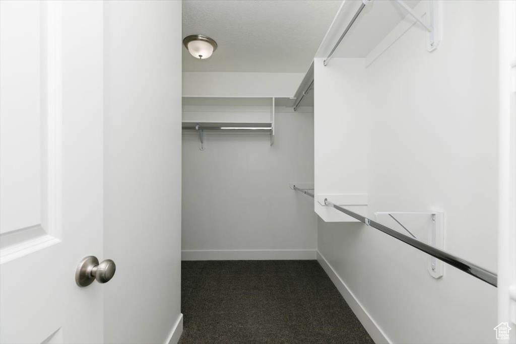 Walk in closet featuring dark carpet