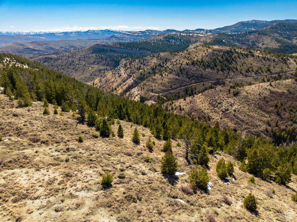 Property view of mountains
