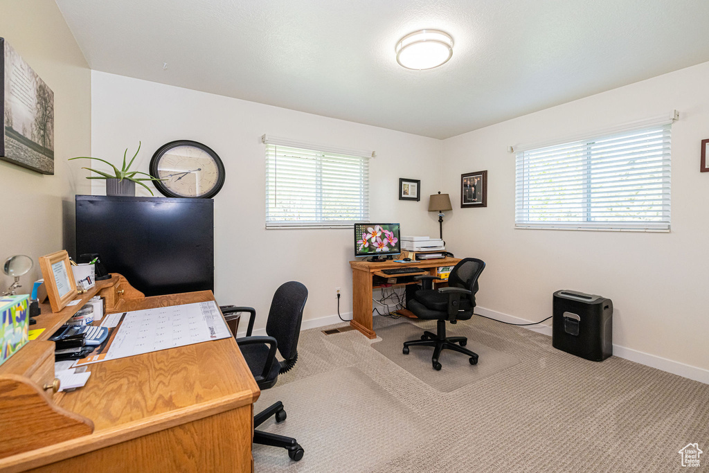 Office featuring baseboards, carpet, and a wealth of natural light