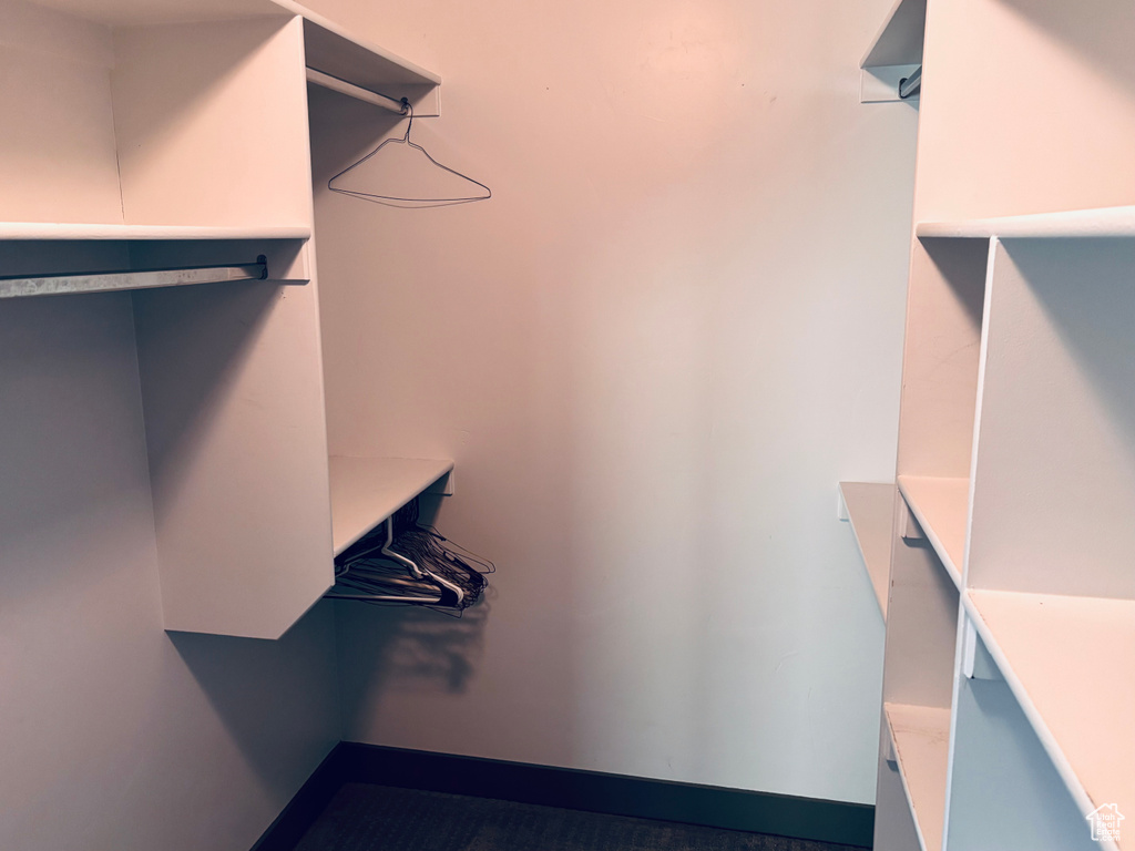 View of walk in closet