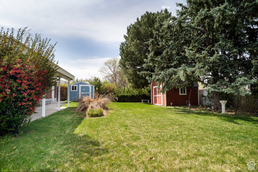 View of yard with an outbuilding and a shed
