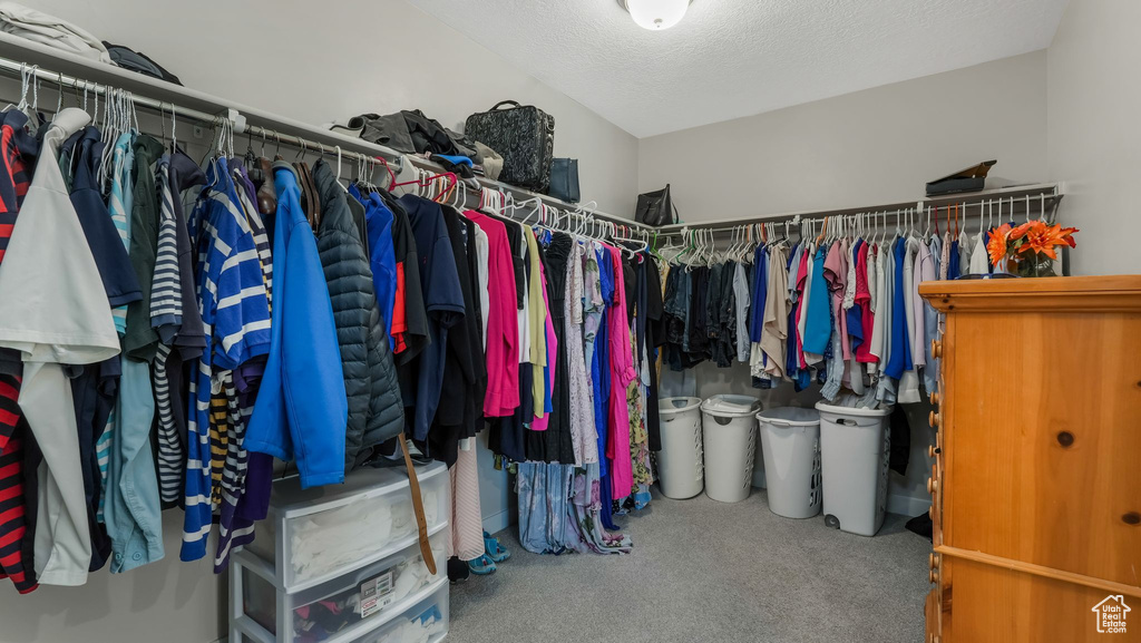 Spacious closet with carpet