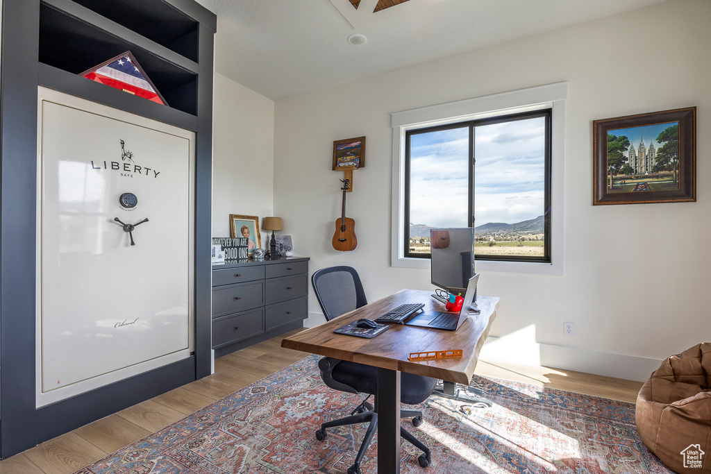 Office featuring light wood-style flooring