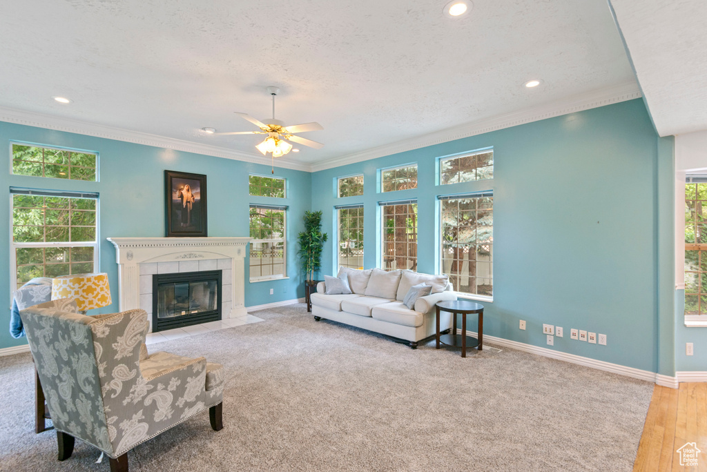 1380 S 980 E Spanish Fork, UT 84660