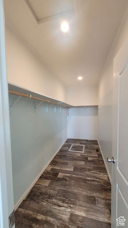 Spacious closet featuring dark wood-type flooring